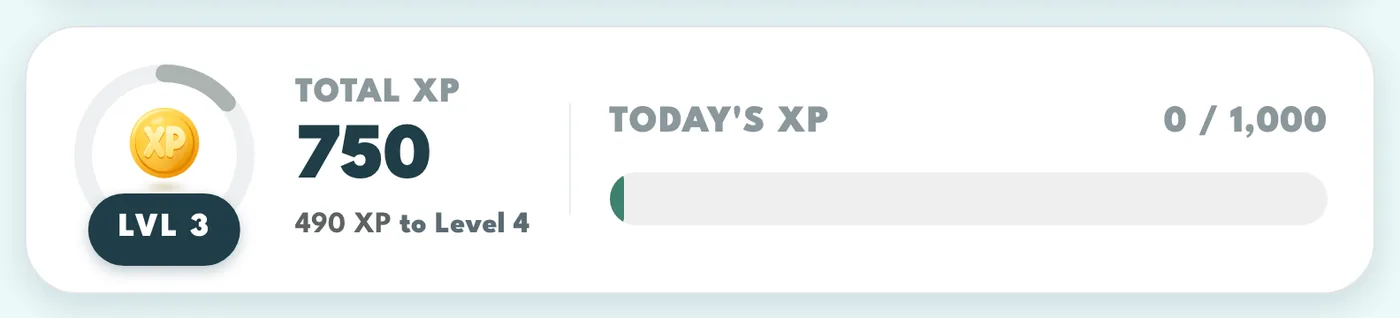 The level ring, total XP and Today's XP bar